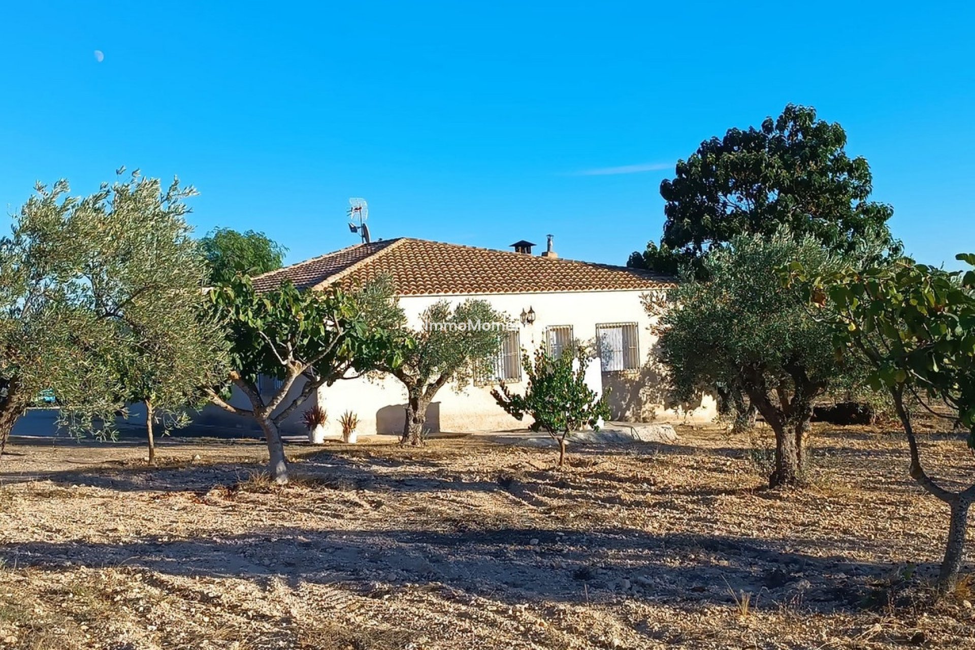 Revente - Maison de campagne - Yecla - Yecla Centro