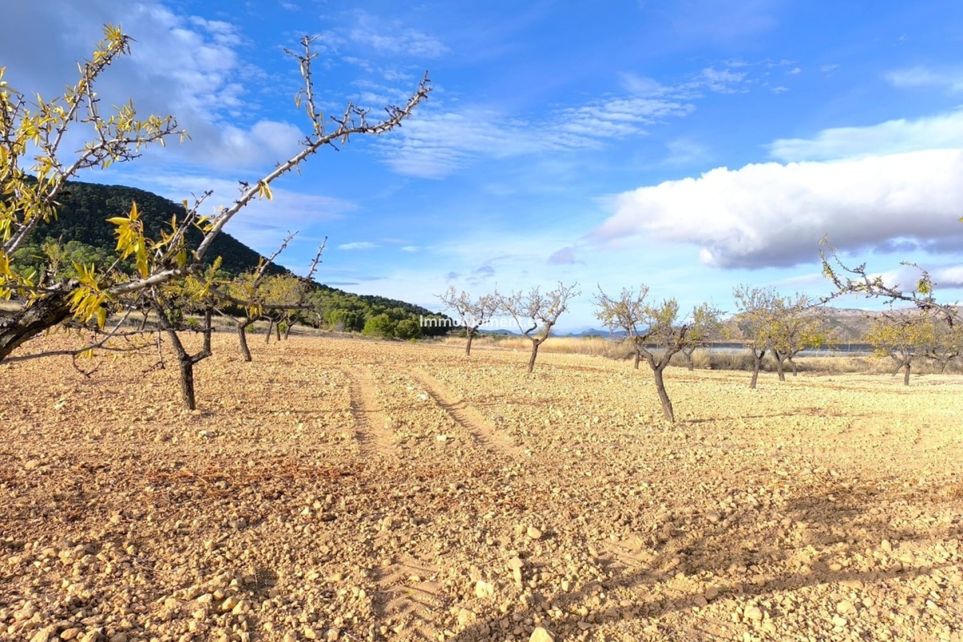 Revente - Maison de campagne - Yecla - Yecla Centro