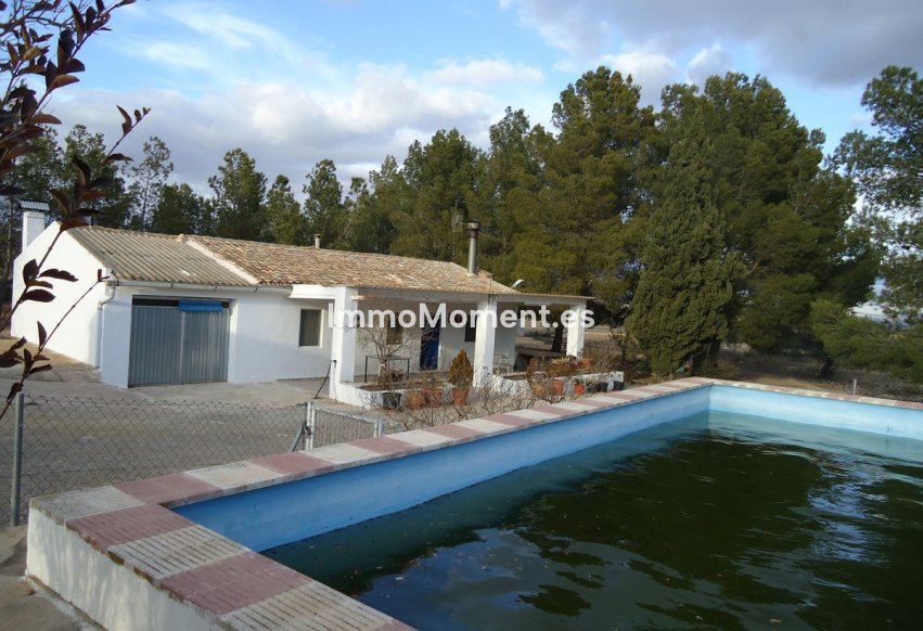 Revente - Maison de campagne - Yecla - Yecla Centro