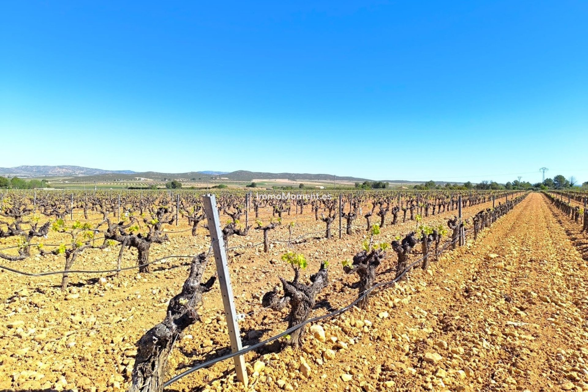 Revente - Maison de campagne - Yecla - Yecla Centro