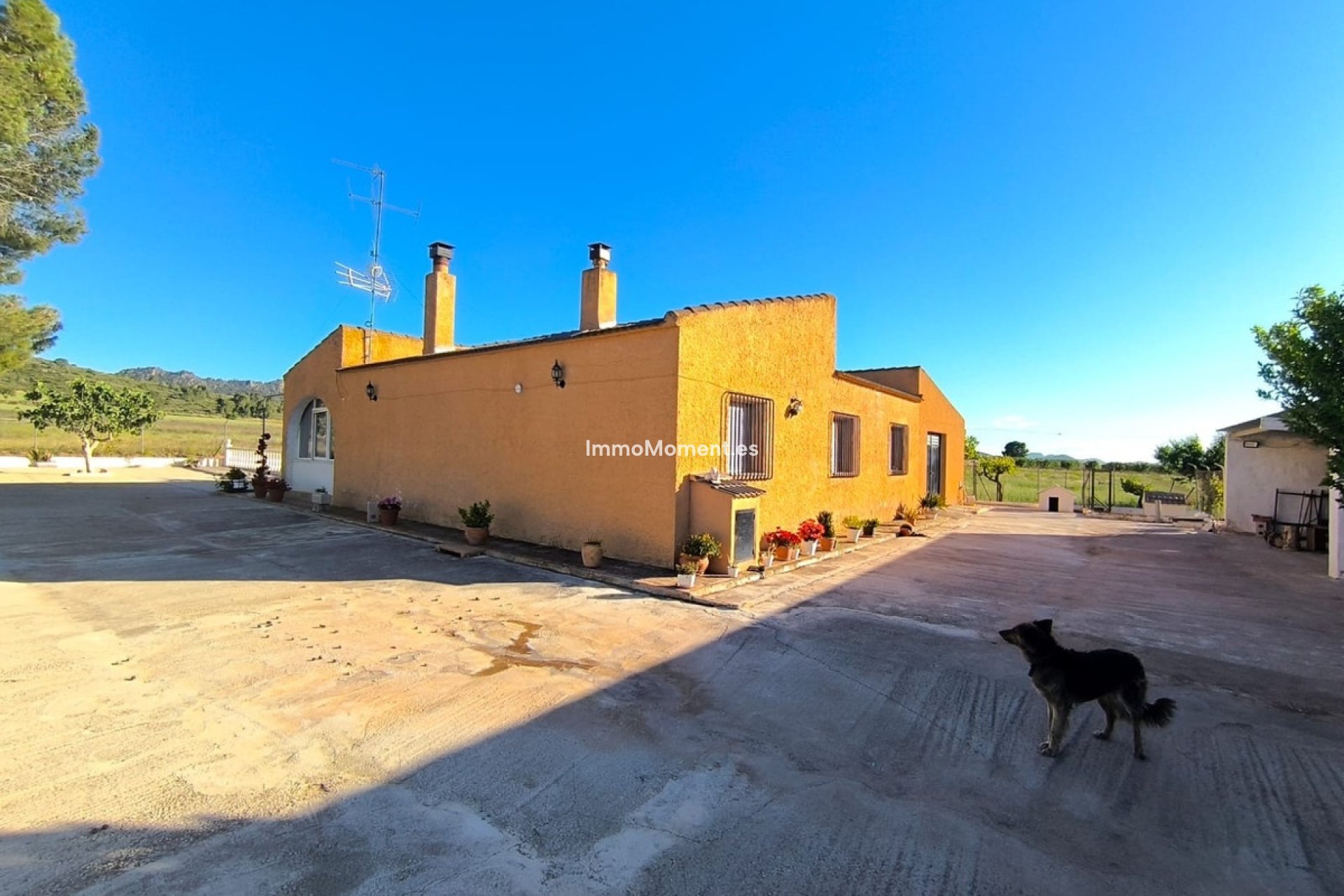 Revente - Maison de campagne - Yecla - Yecla Centro