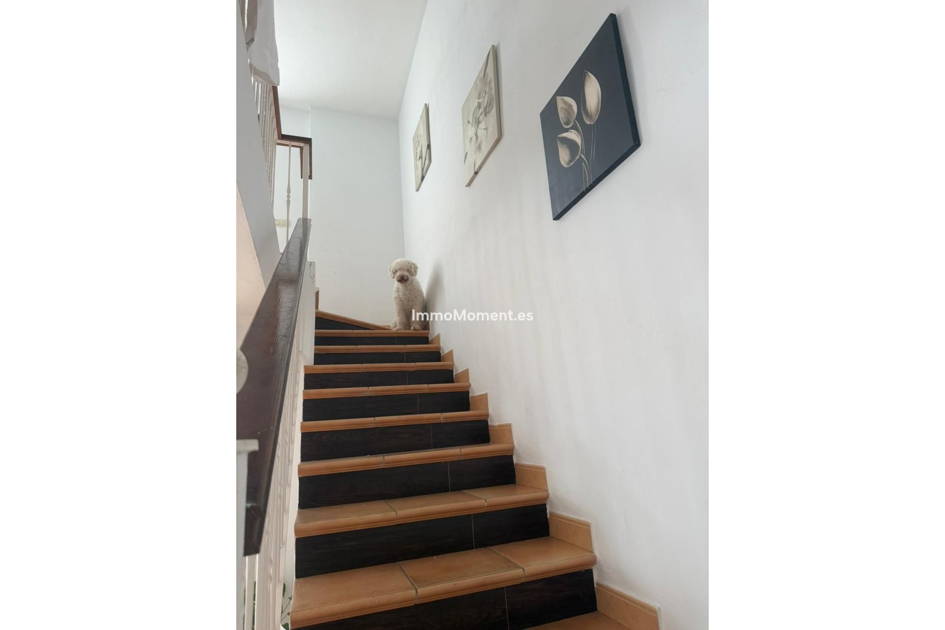 Revente - Maison mitoyenne - Benahavís - Benahavís Centro