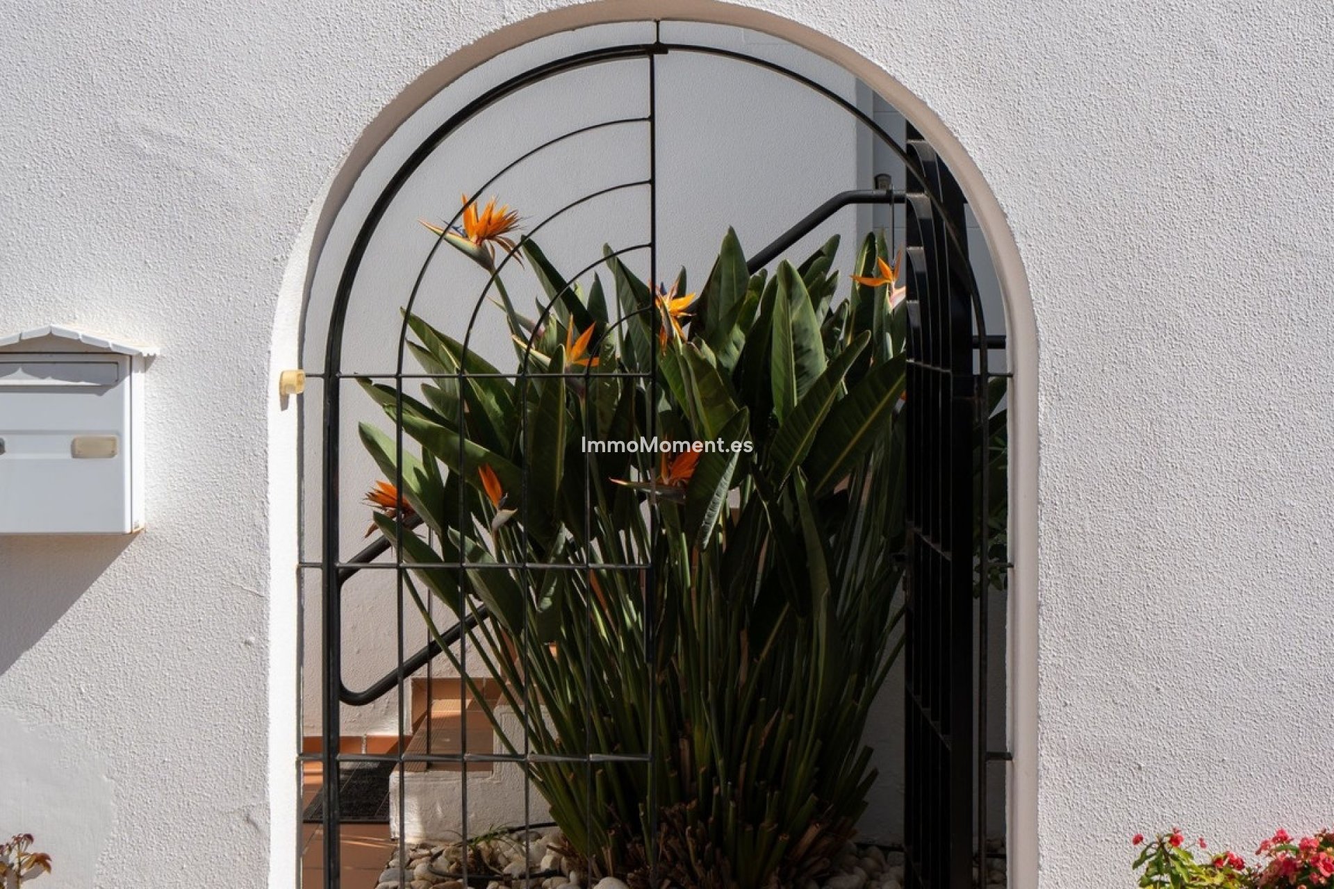 Revente - Maison mitoyenne - Estepona  - Costalita