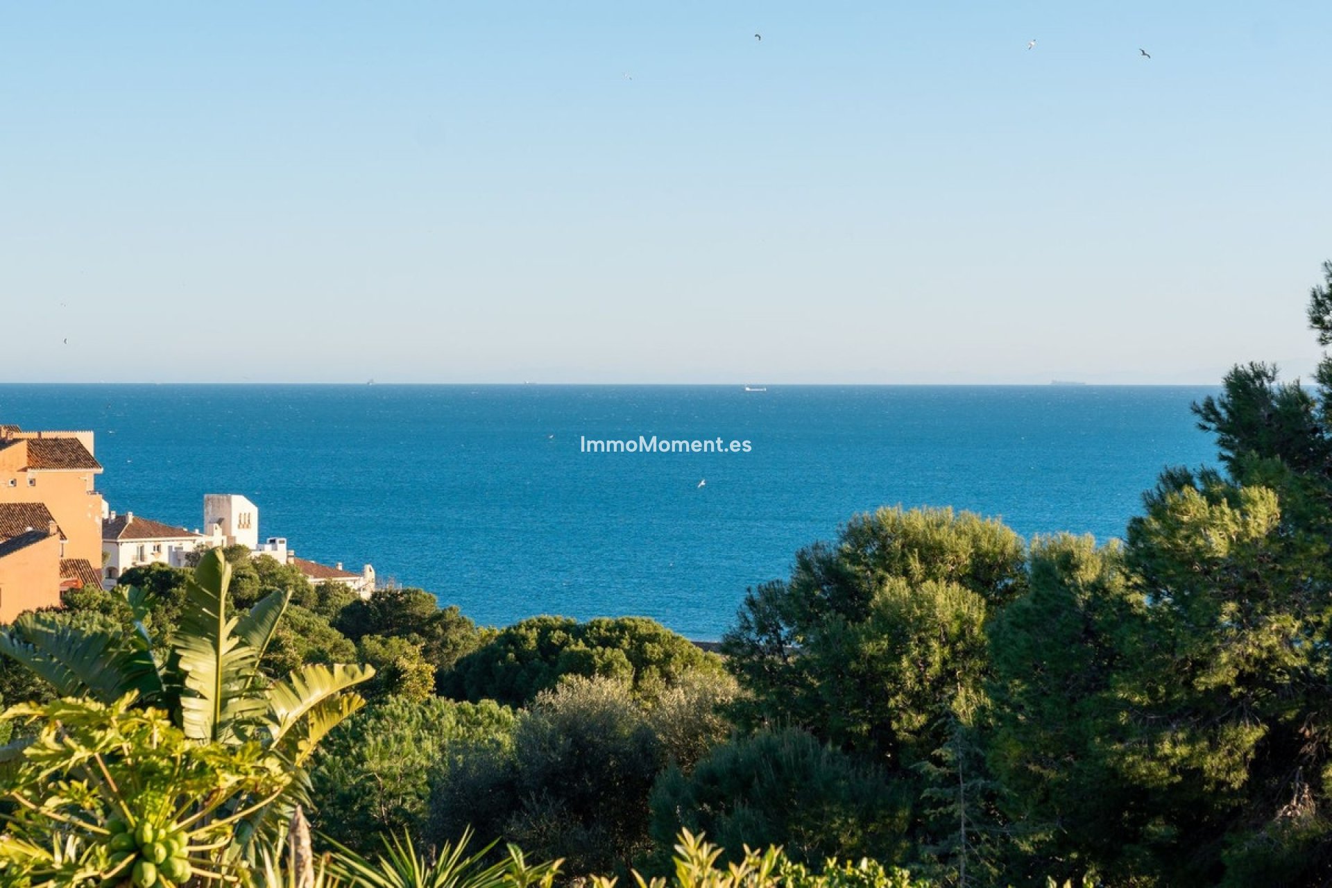 Revente - Maison mitoyenne - Estepona  - Estepona Centro