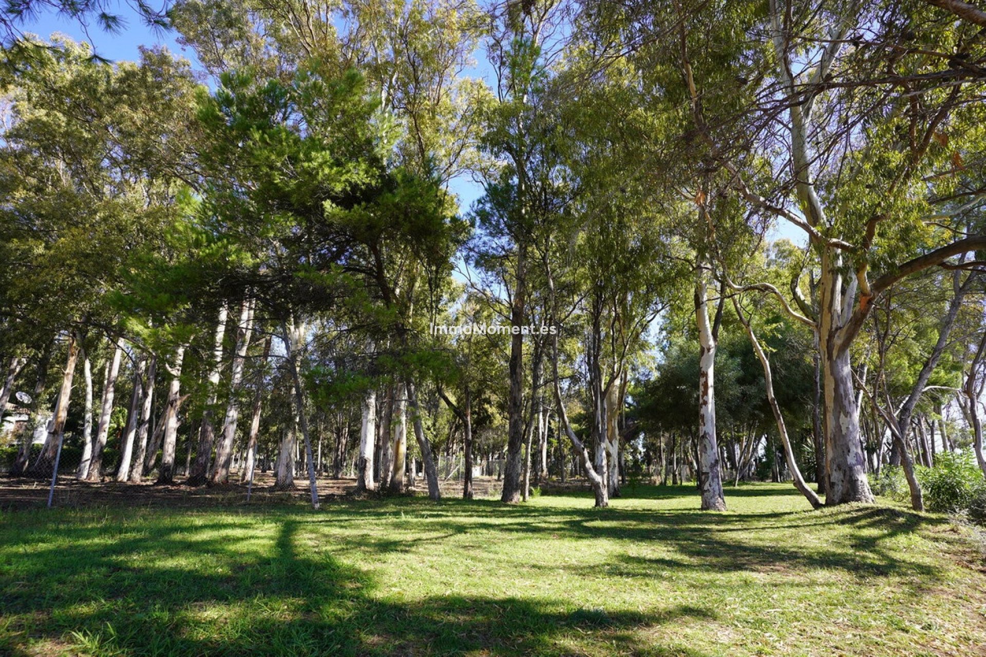 Revente - Maison mitoyenne - Estepona  - Estepona Centro
