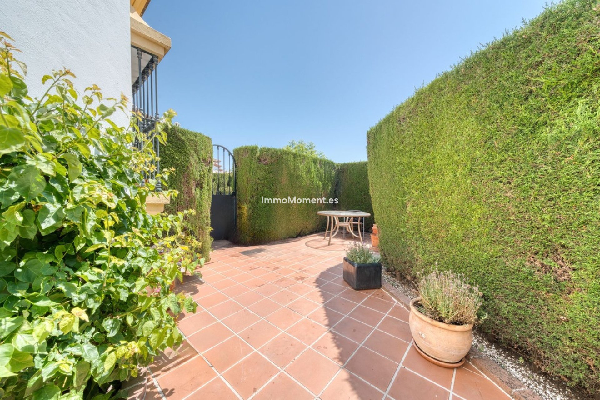 Revente - Maison mitoyenne - Estepona  - New Golden Mile