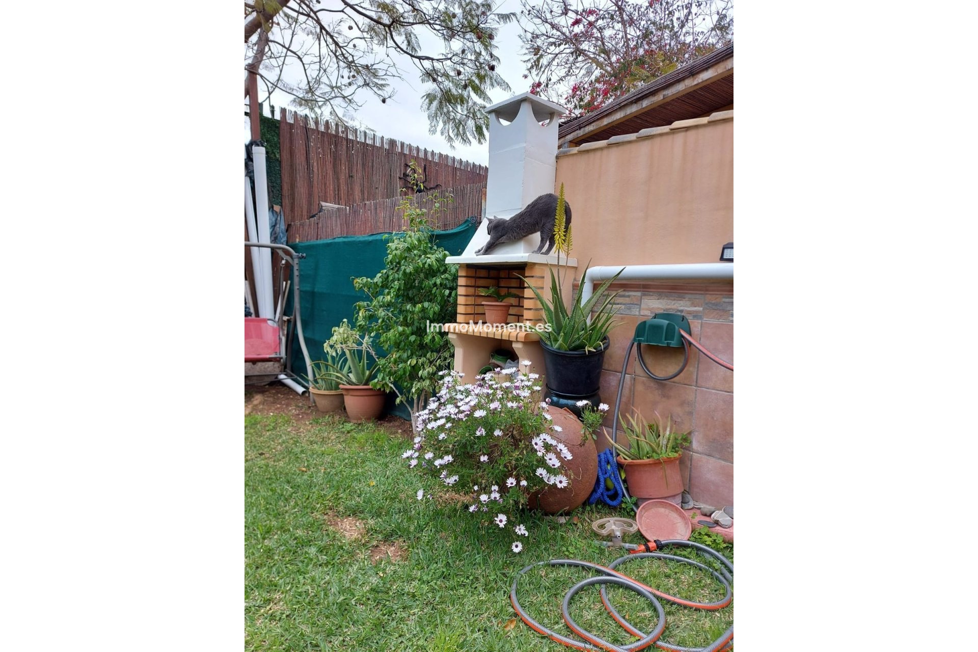 Revente - Maison mitoyenne - Fuengirola - Los Boliches