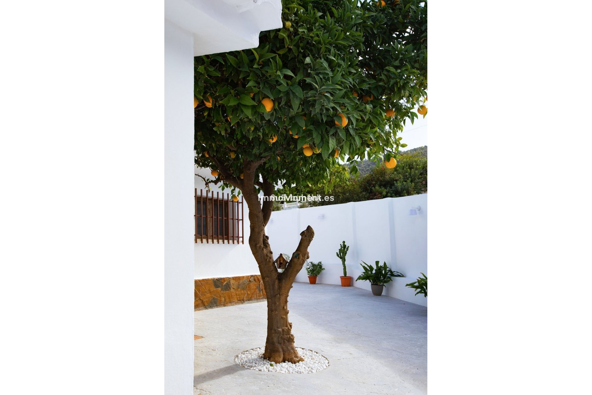 Revente - Maison mitoyenne - Intérieur                       - Alhaurín de la Torre