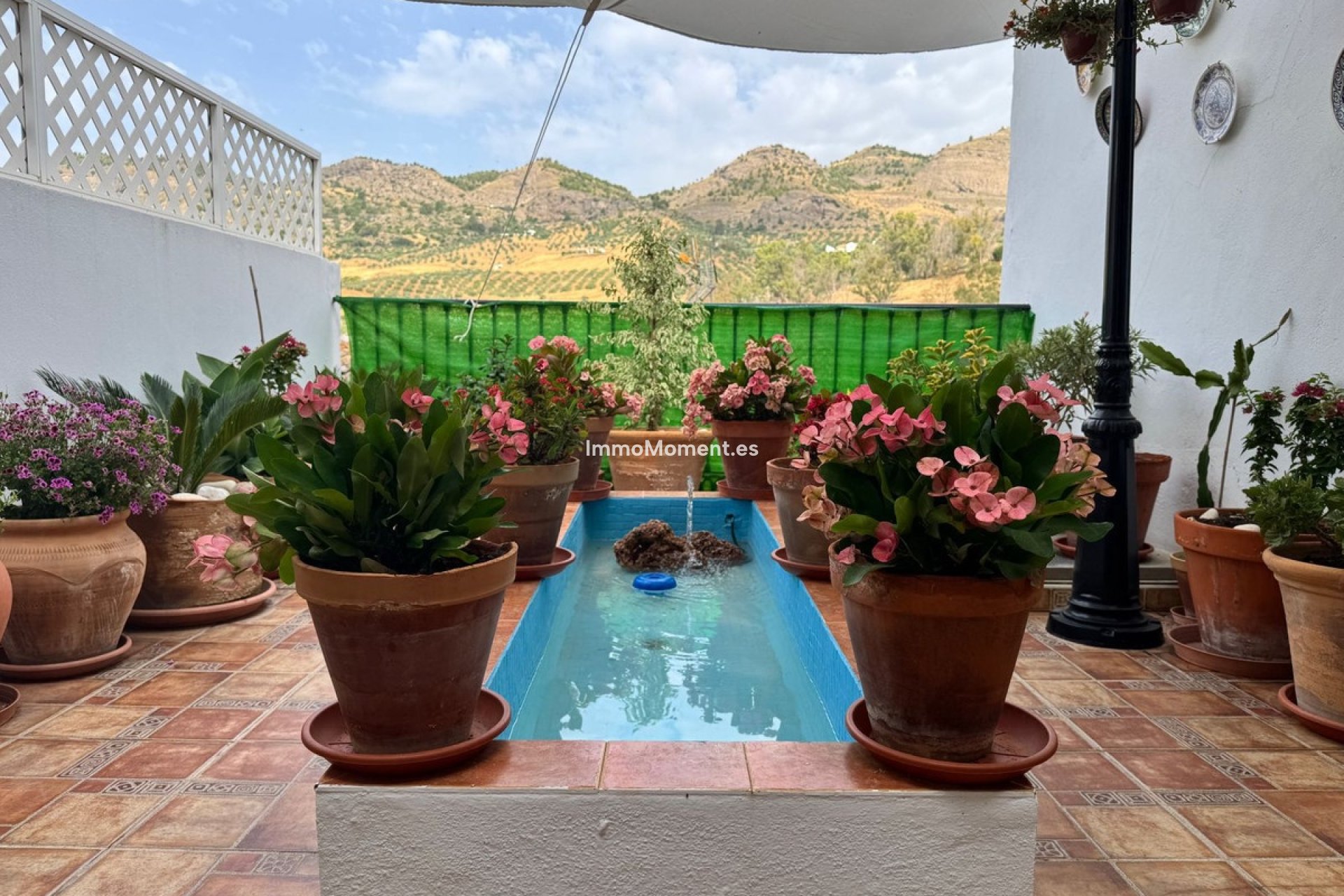 Revente - Maison mitoyenne - Intérieur                       - Alora