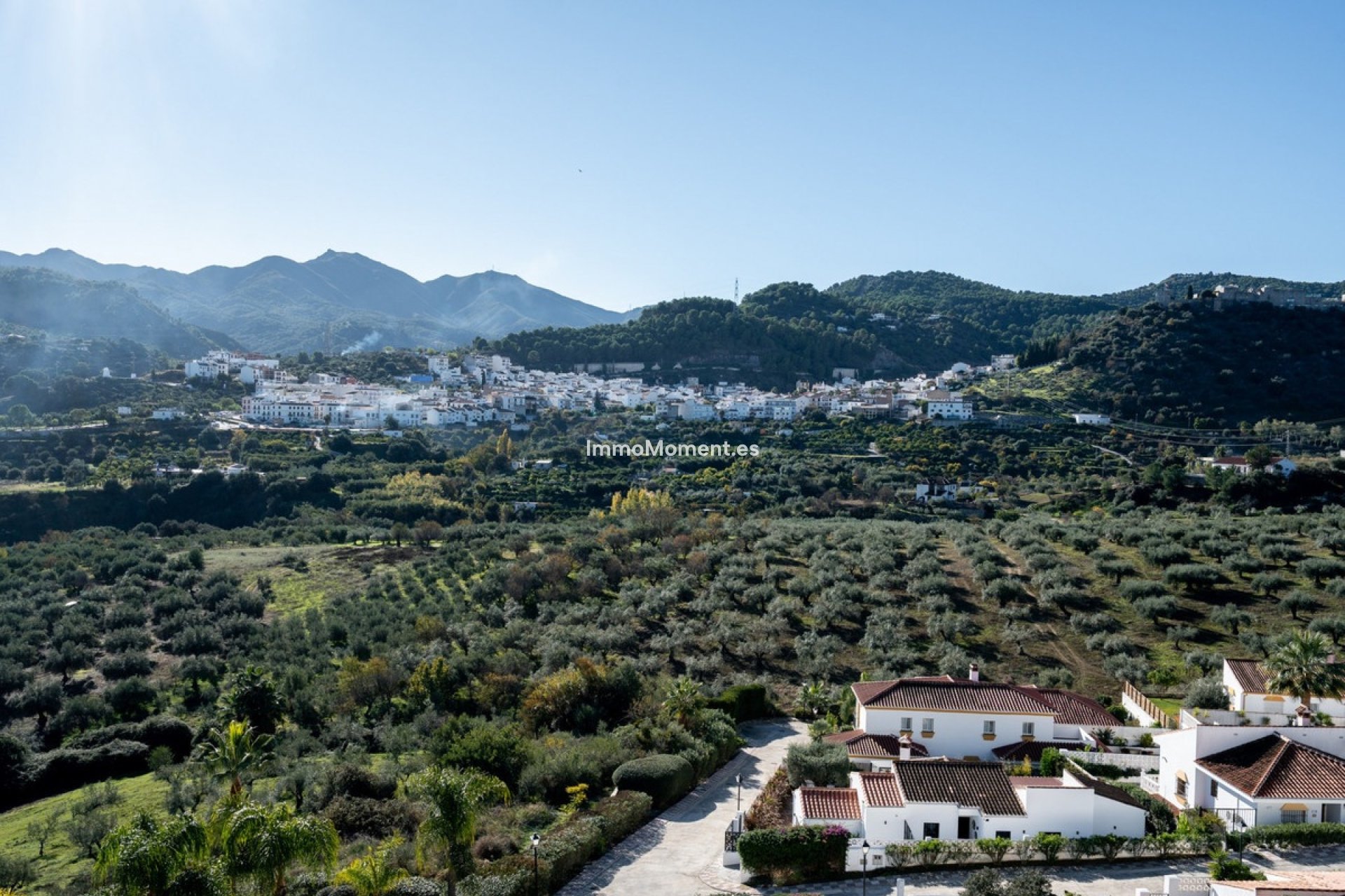 Revente - Maison mitoyenne - Intérieur                       - Monda