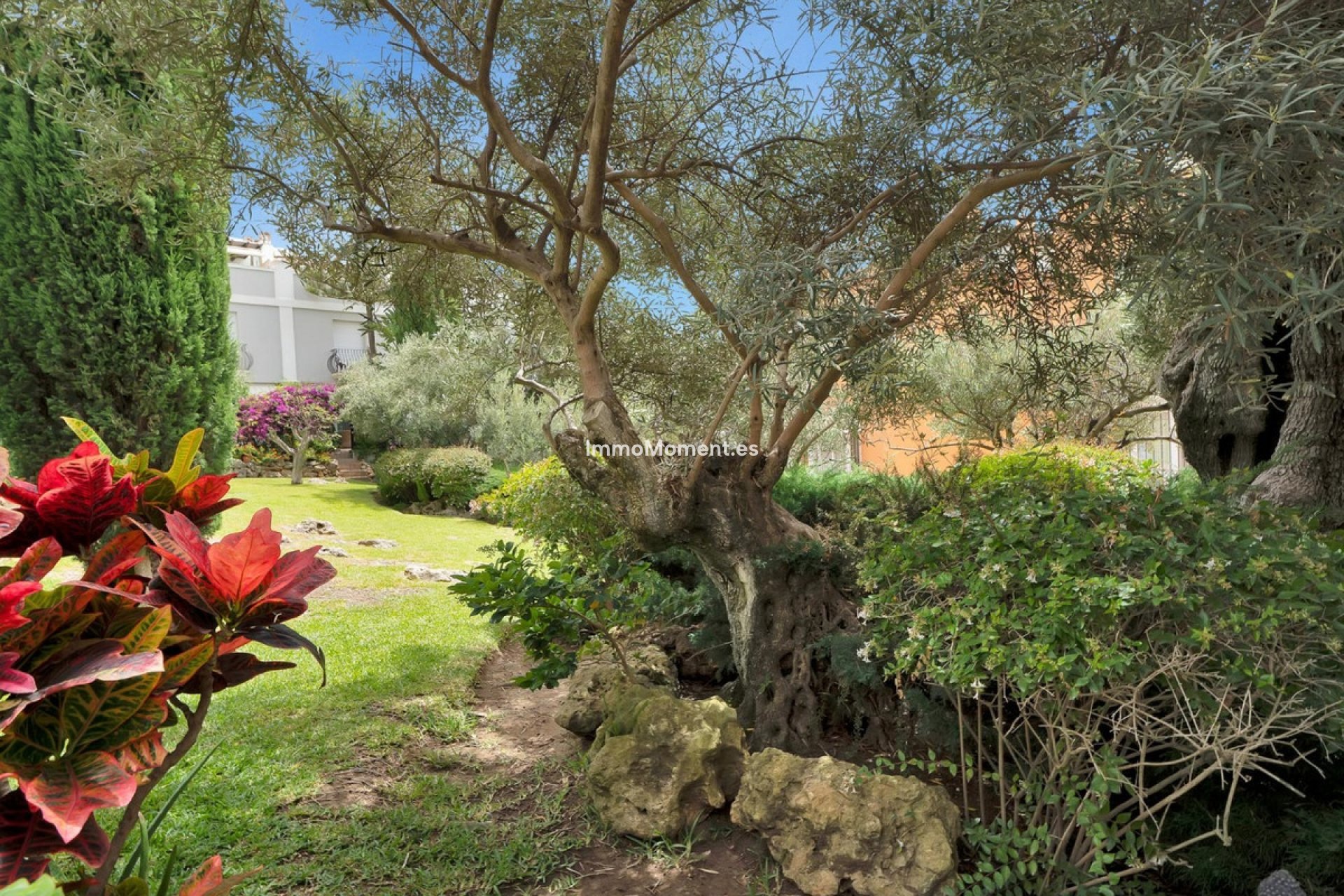Revente - Maison mitoyenne - Marbella - Bahía de Marbella