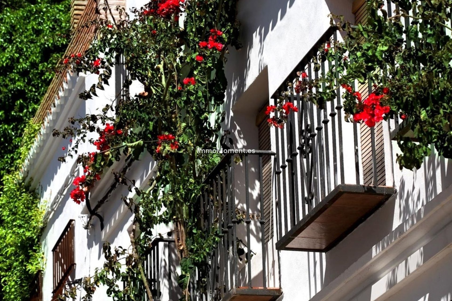 Revente - Maison mitoyenne - Marbella - Marbella Centro