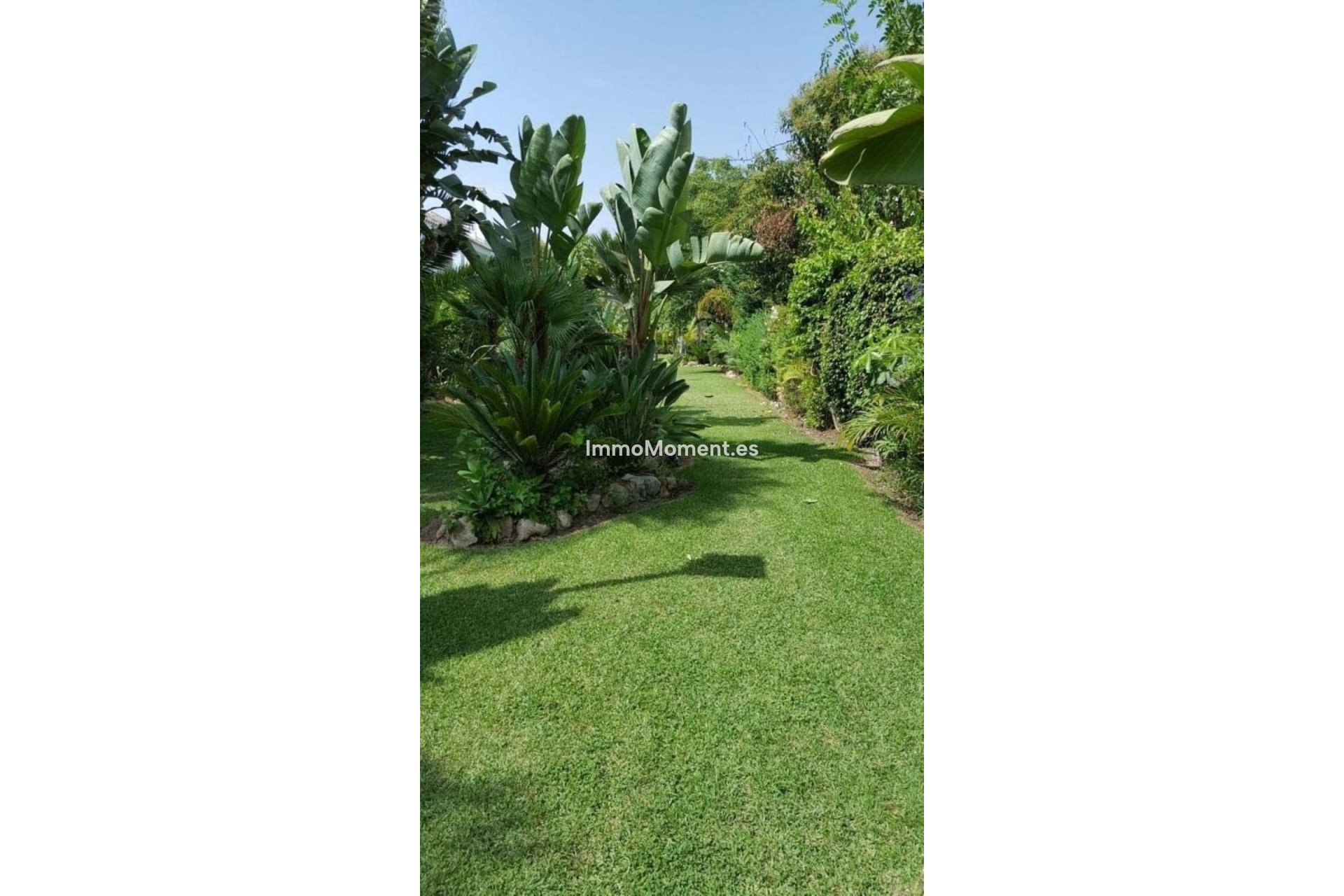 Revente - Maison mitoyenne - Marbella - Marbella Centro