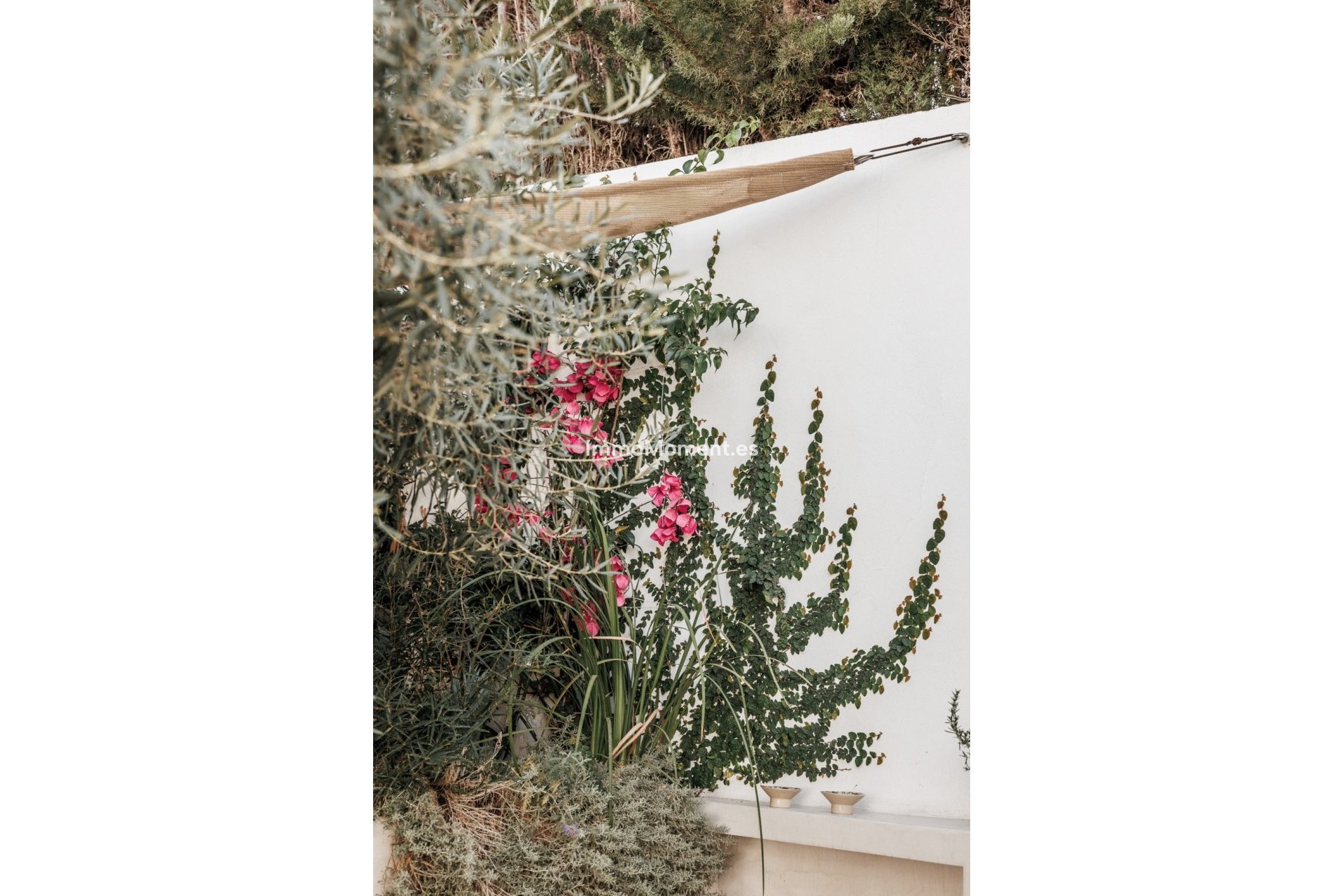 Revente - Maison mitoyenne - Marbella - Nueva Andalucía