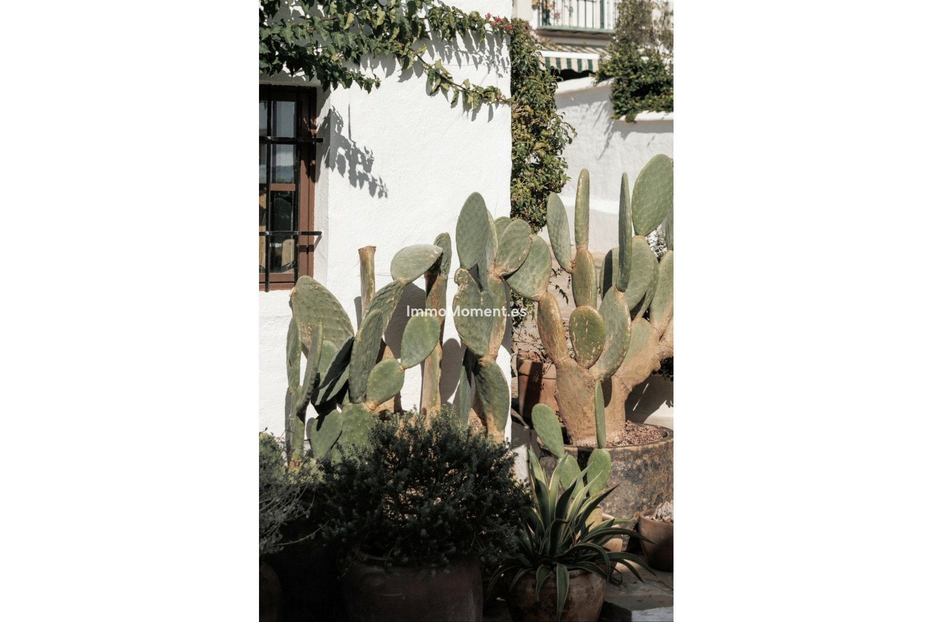 Revente - Maison mitoyenne - Marbella - Nueva Andalucía