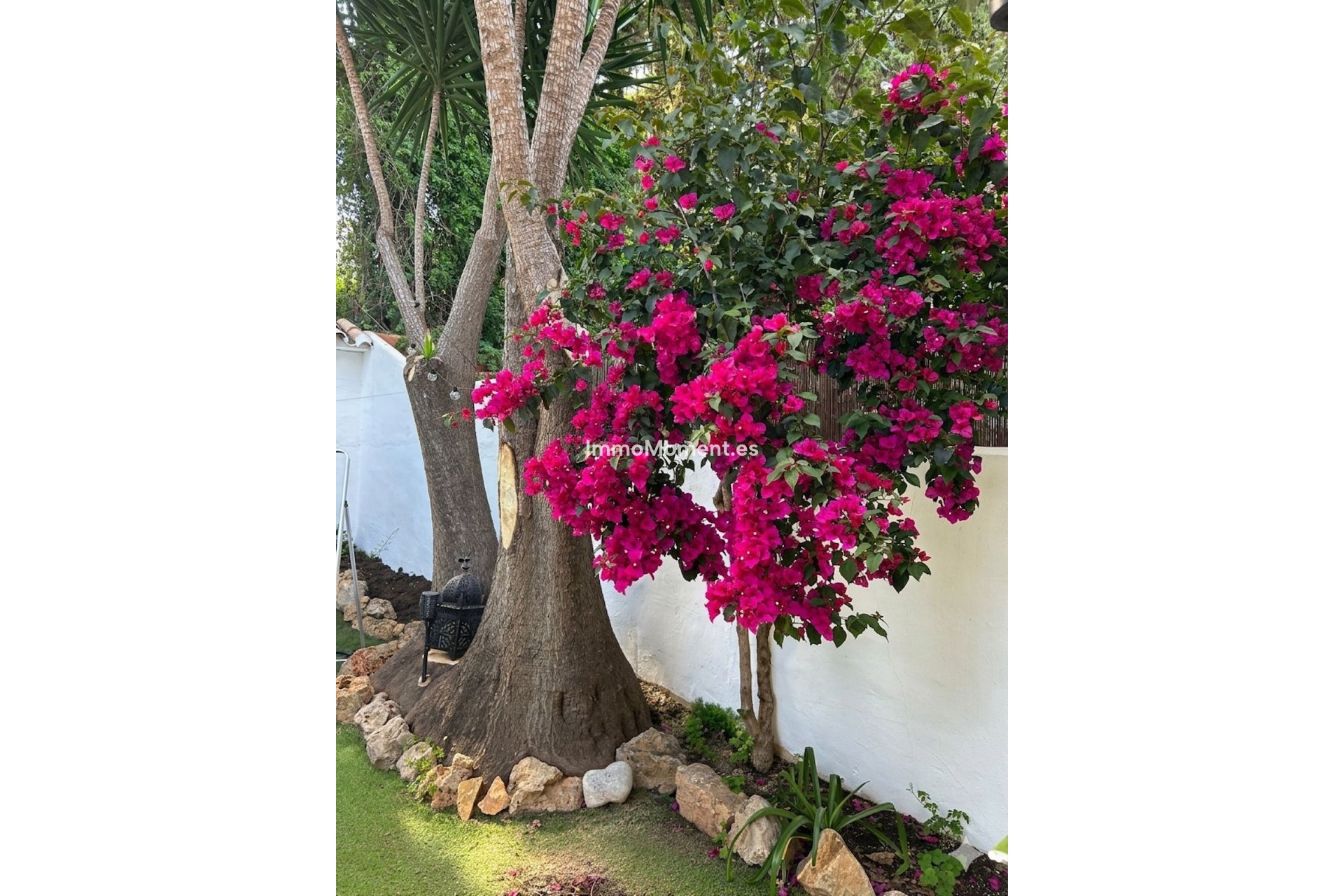 Revente - Maison mitoyenne - Marbella - Nueva Andalucía