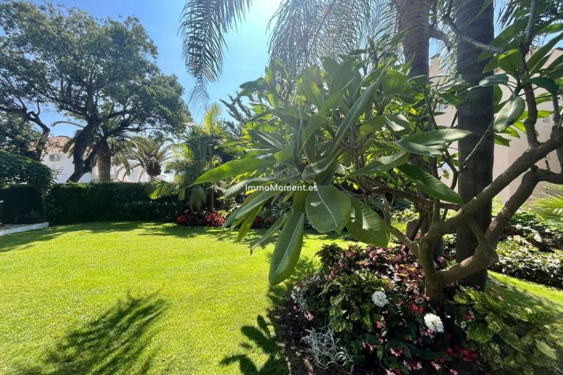 Revente - Maison mitoyenne - Mijas - Mijas Centro