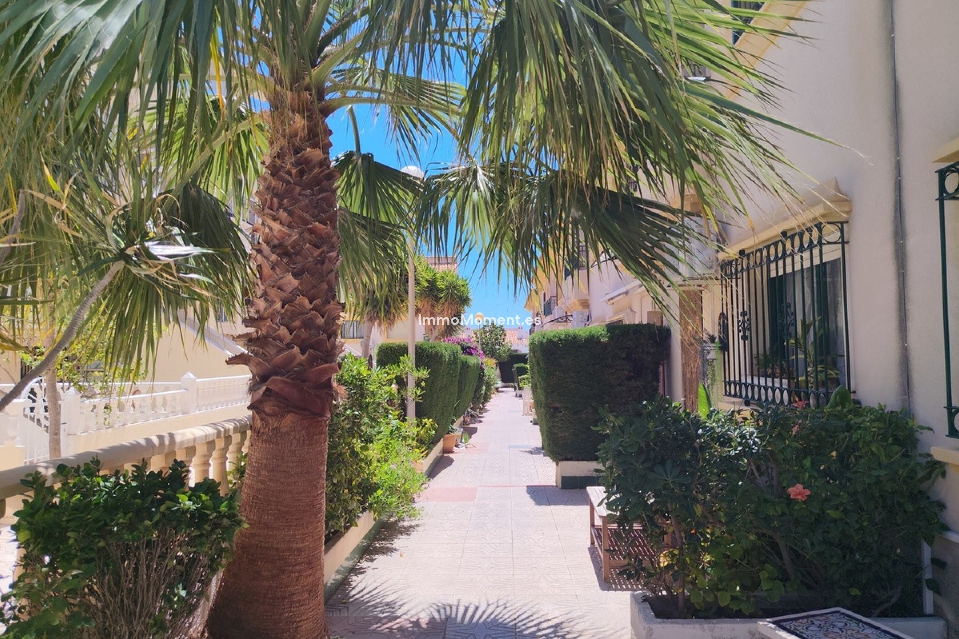 Revente - Maison mitoyenne - Orihuela Costa - Cabo roig - La Zenia