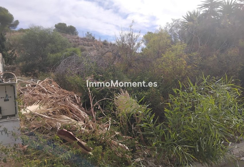 Revente - Parcelle - Algorfa - Algorfa Centro