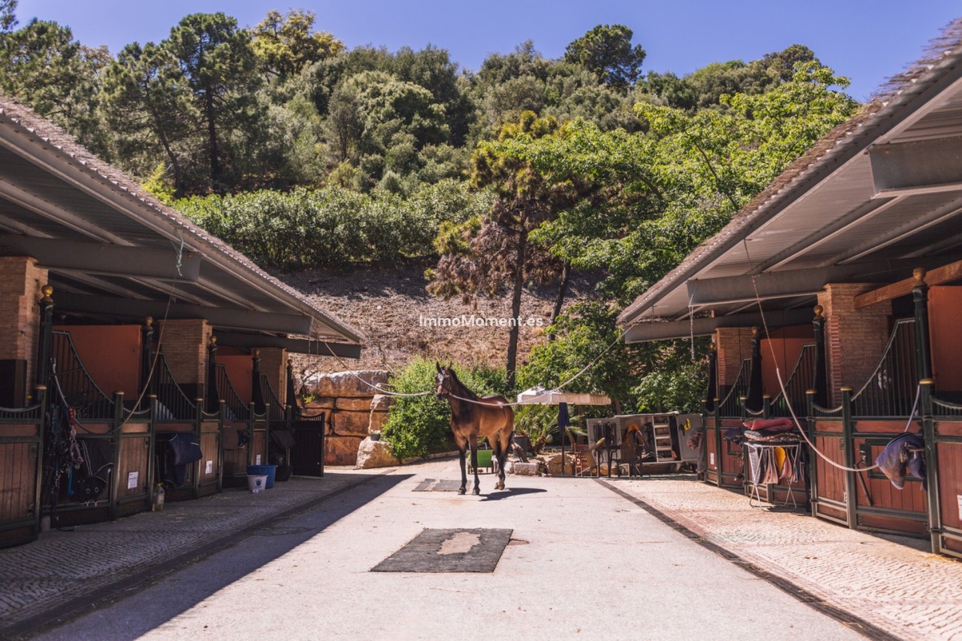 Revente - Parcelle - Benahavís - Benahavís Centro