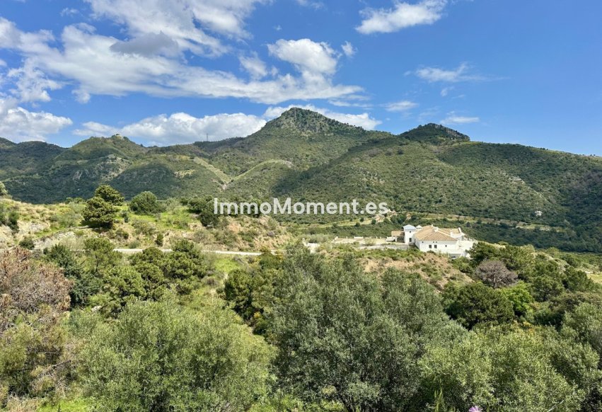 Revente - Parcelle - Benahavís - Benahavís Centro