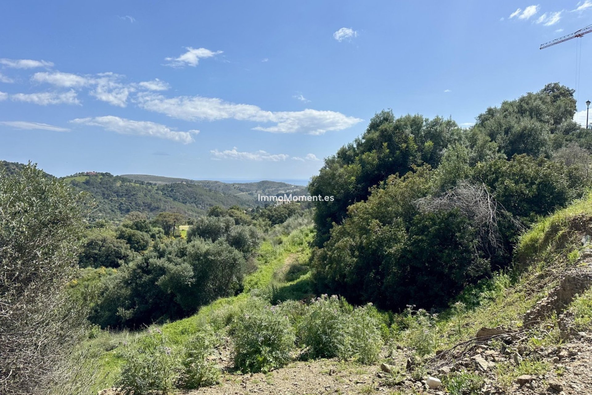 Revente - Parcelle - Benahavís - Benahavís Centro