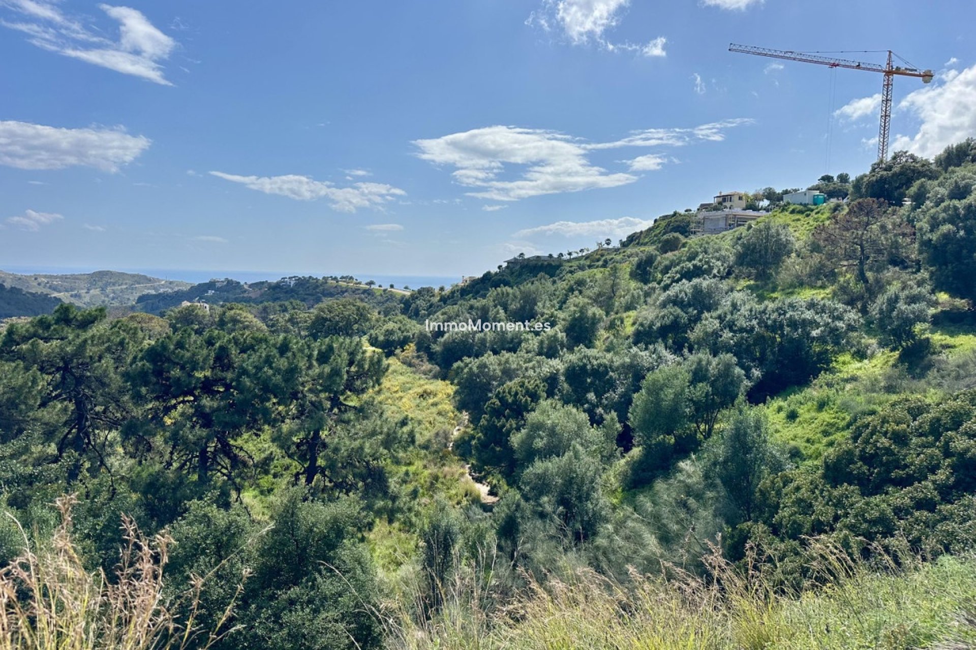 Revente - Parcelle - Benahavís - Benahavís Centro