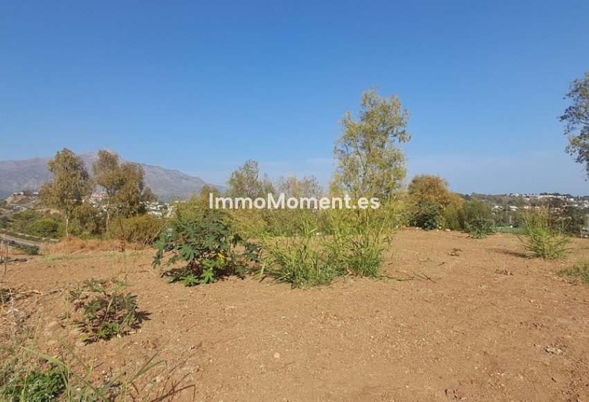 Revente - Parcelle - Benahavís - La Quinta