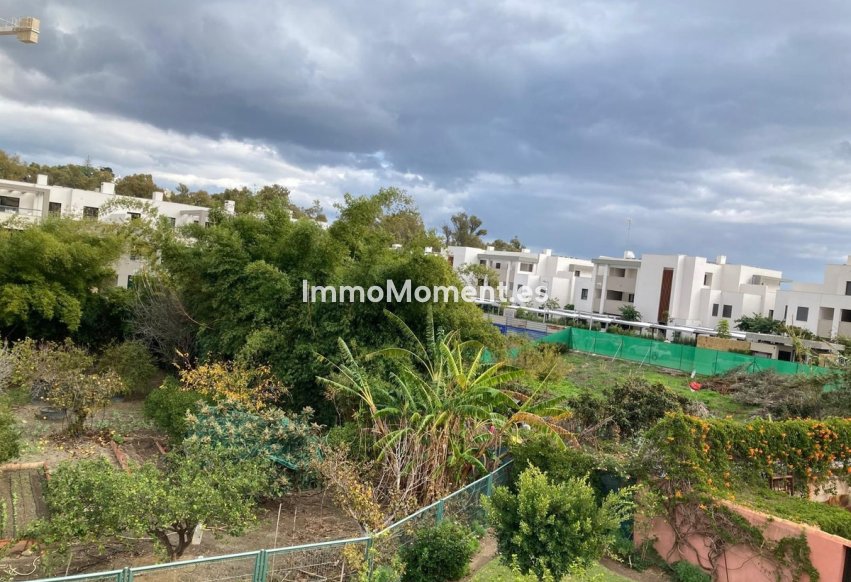Revente - Parcelle - Casares - Casares Centro