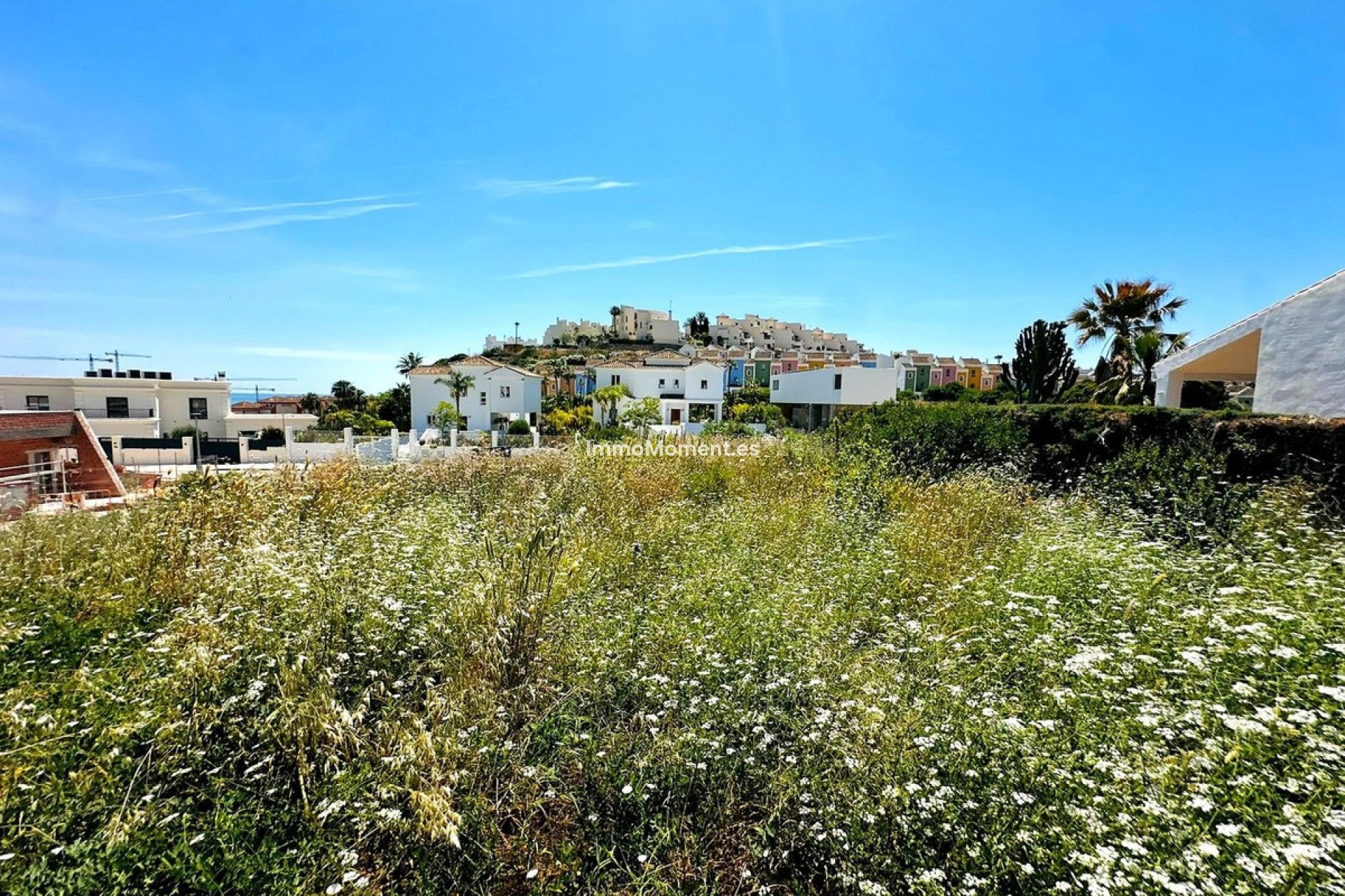 Revente - Parcelle - Casares - Casares Playa