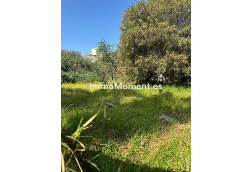 Revente - Parcelle - Estepona  - Atalaya