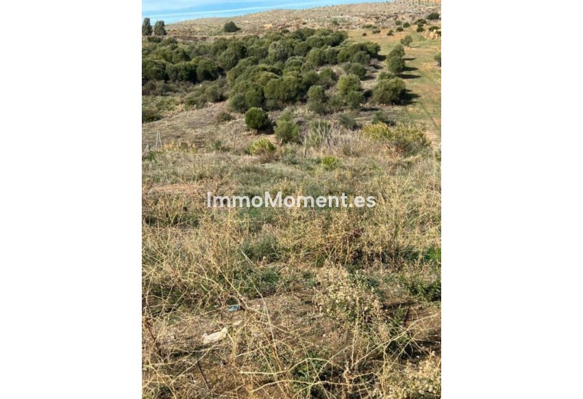 Revente - Parcelle - Estepona  - Bel Air