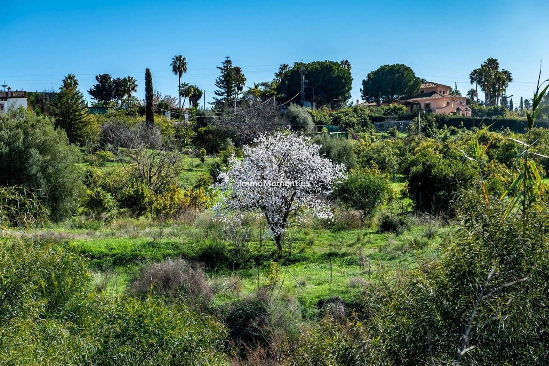 Revente - Parcelle - Estepona  - New Golden Mile