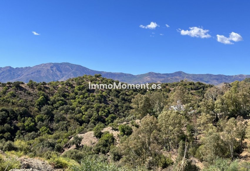 Revente - Parcelle - Estepona  - Selwo