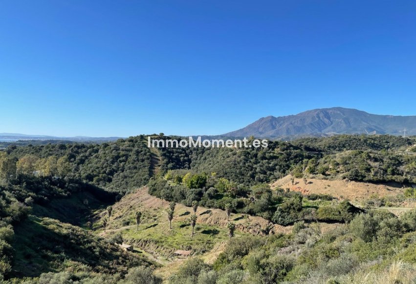 Revente - Parcelle - Estepona  - Selwo