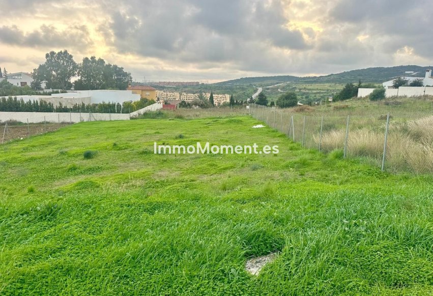 Revente - Parcelle - Estepona  - Valle Romano