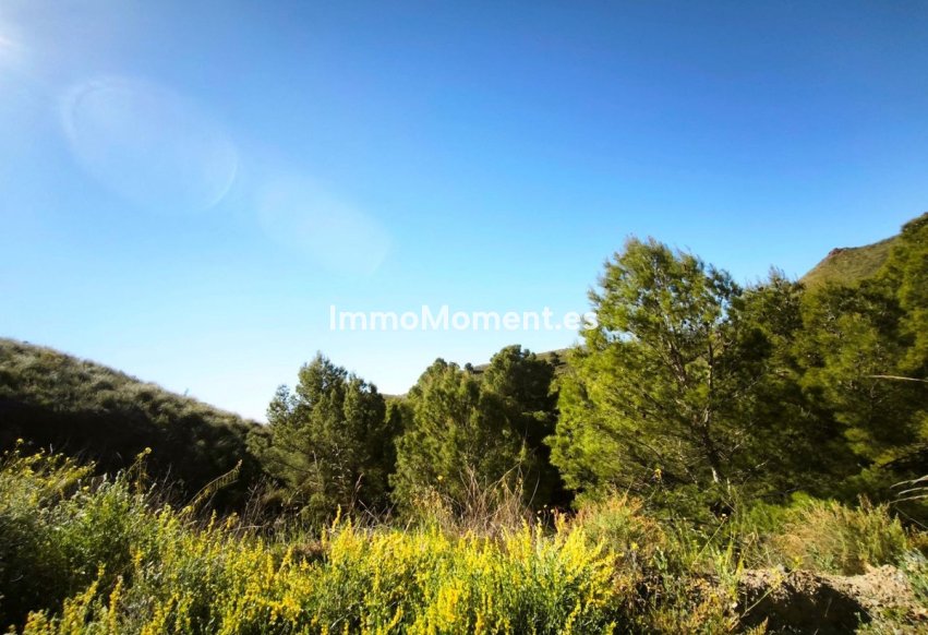 Revente - Parcelle - Lorca - Lorca Centro
