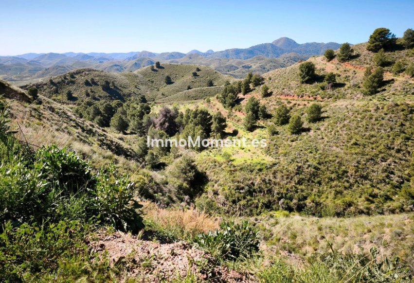Revente - Parcelle - Lorca - Lorca Centro