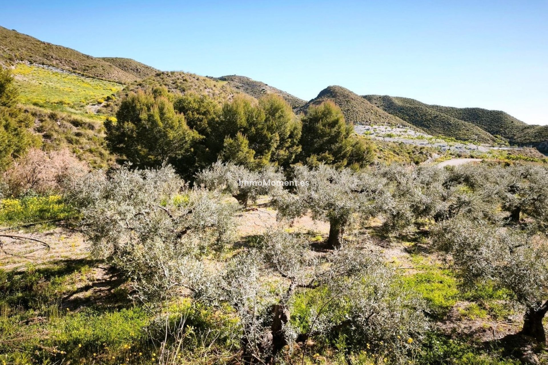 Revente - Parcelle - Lorca - Lorca Centro