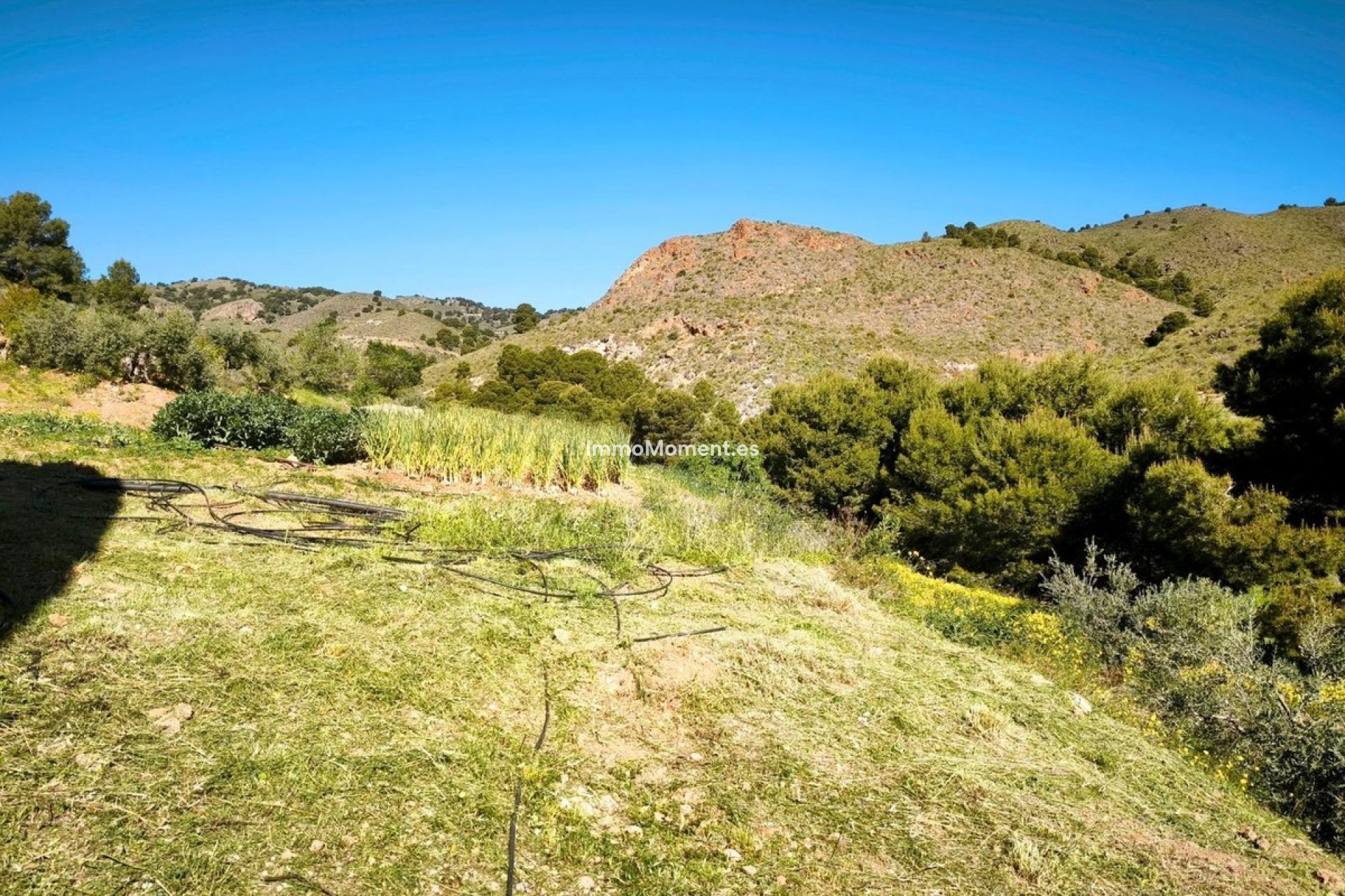 Revente - Parcelle - Lorca - Lorca Centro
