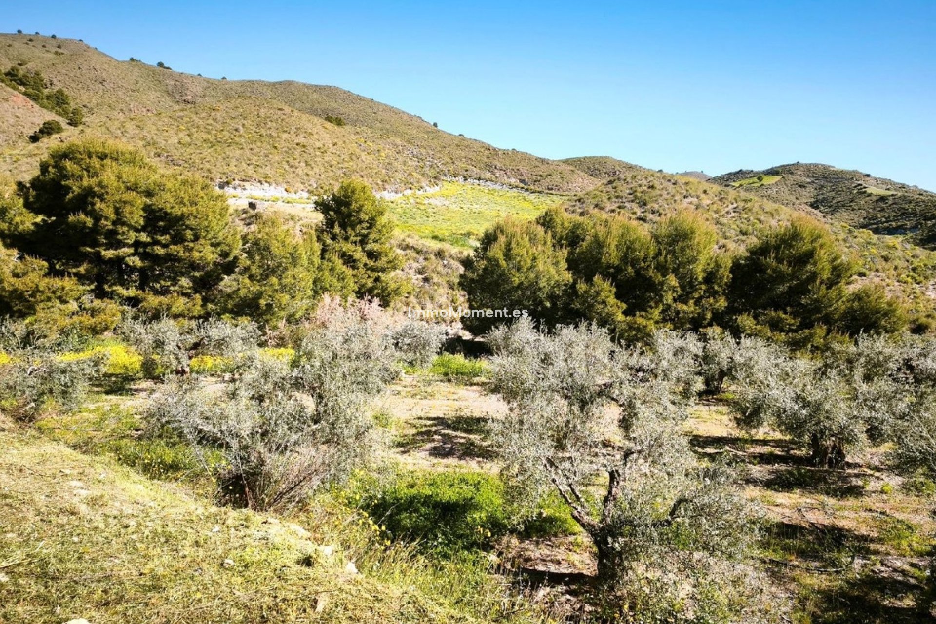 Revente - Parcelle - Lorca - Lorca Centro