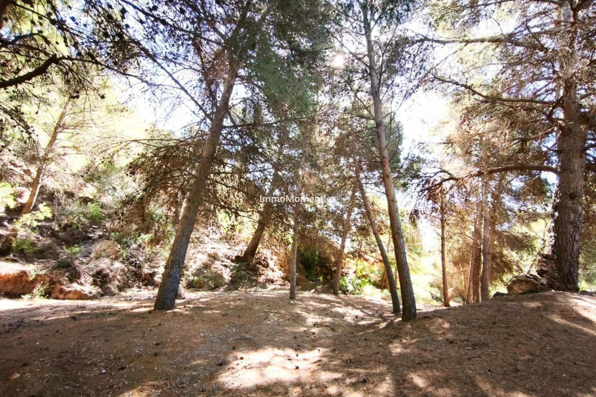 Revente - Parcelle - Lorca - Lorca Centro
