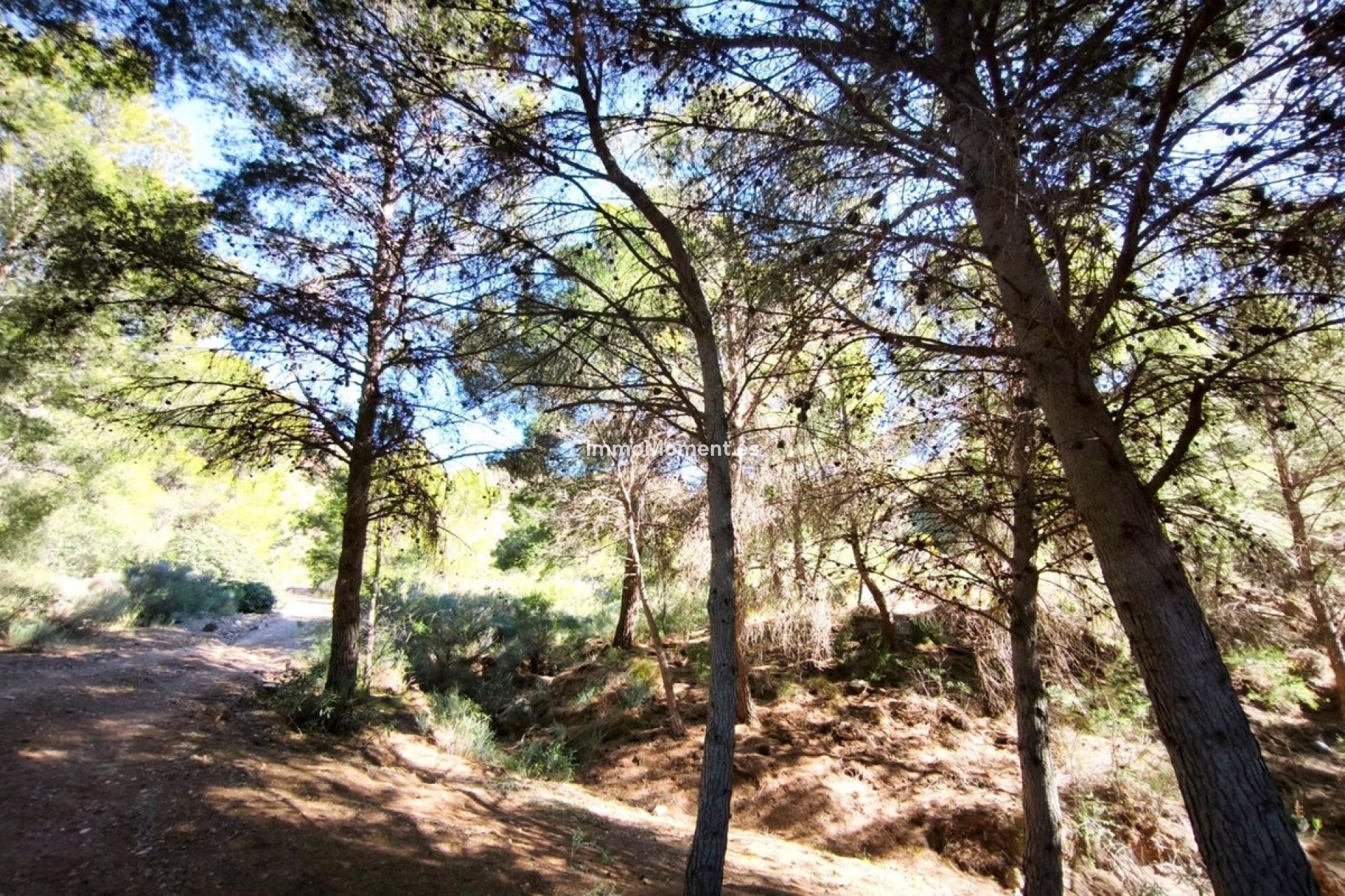 Revente - Parcelle - Lorca - Lorca Centro