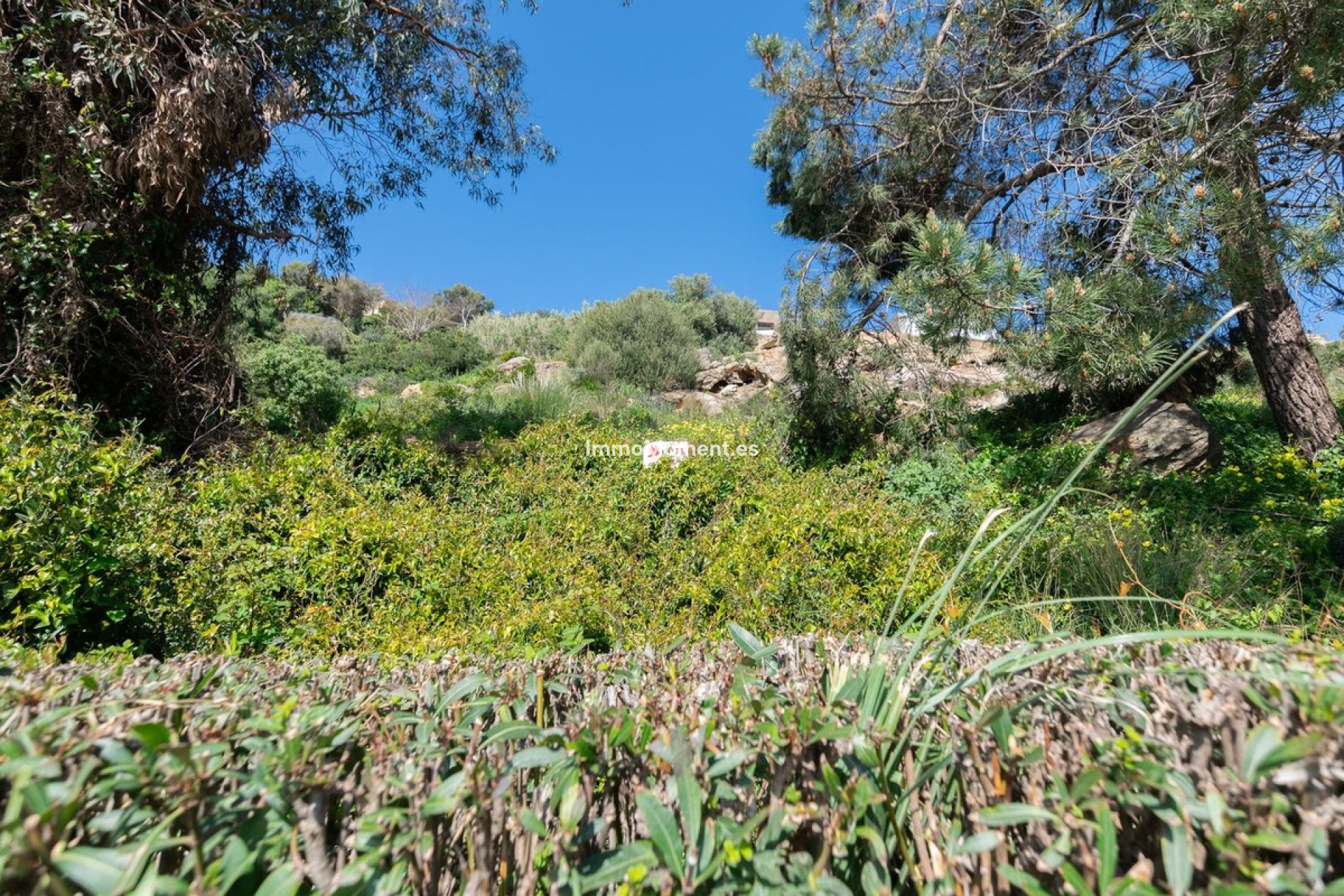Revente - Parcelle - Manilva