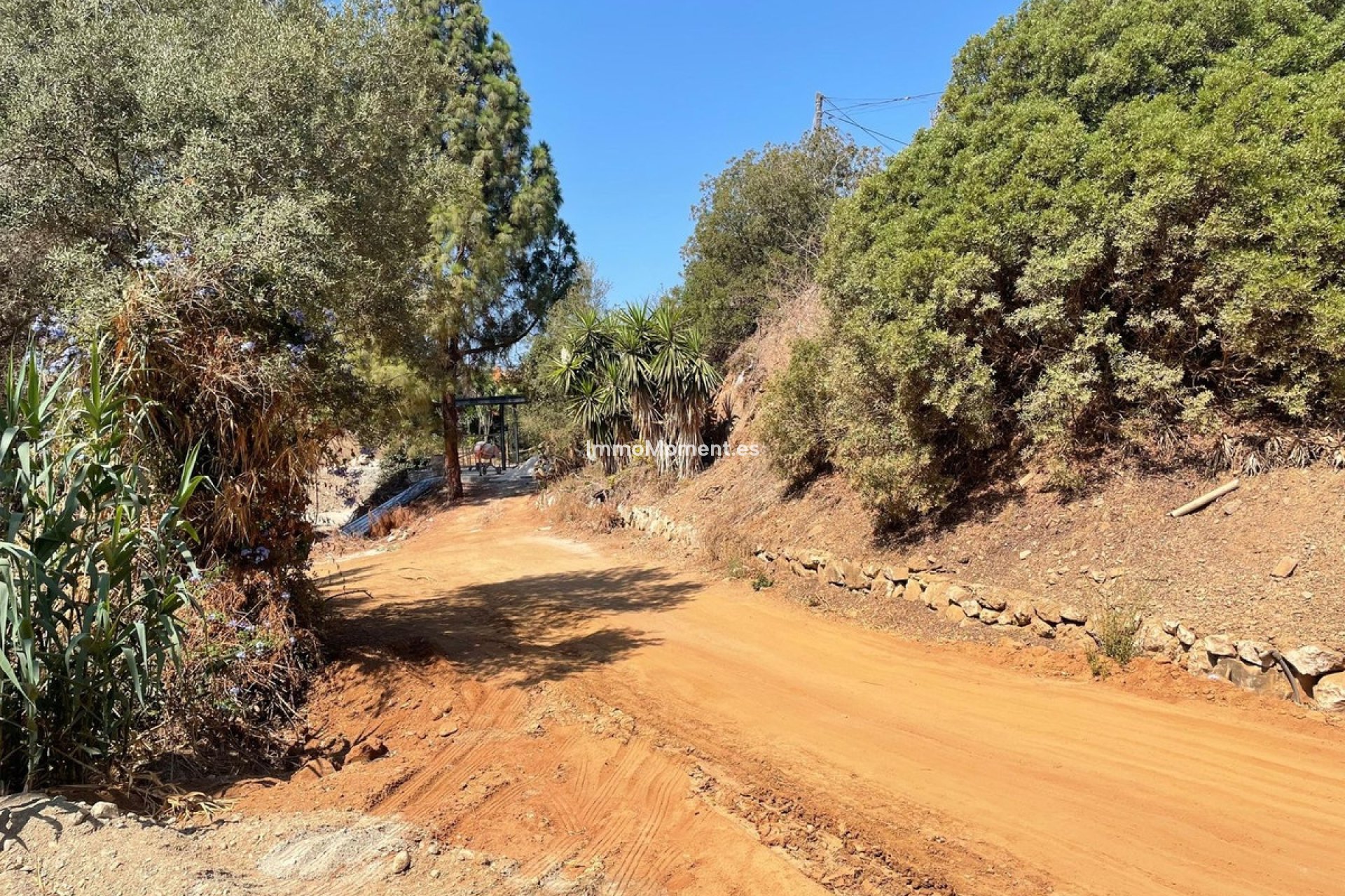 Revente - Parcelle - Marbella - El Rosario