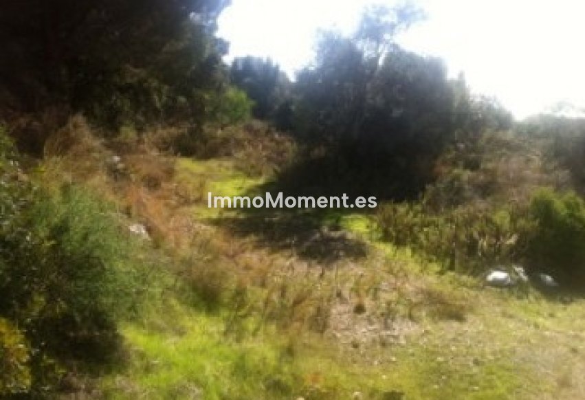 Revente - Parcelle - Marbella - Elviria