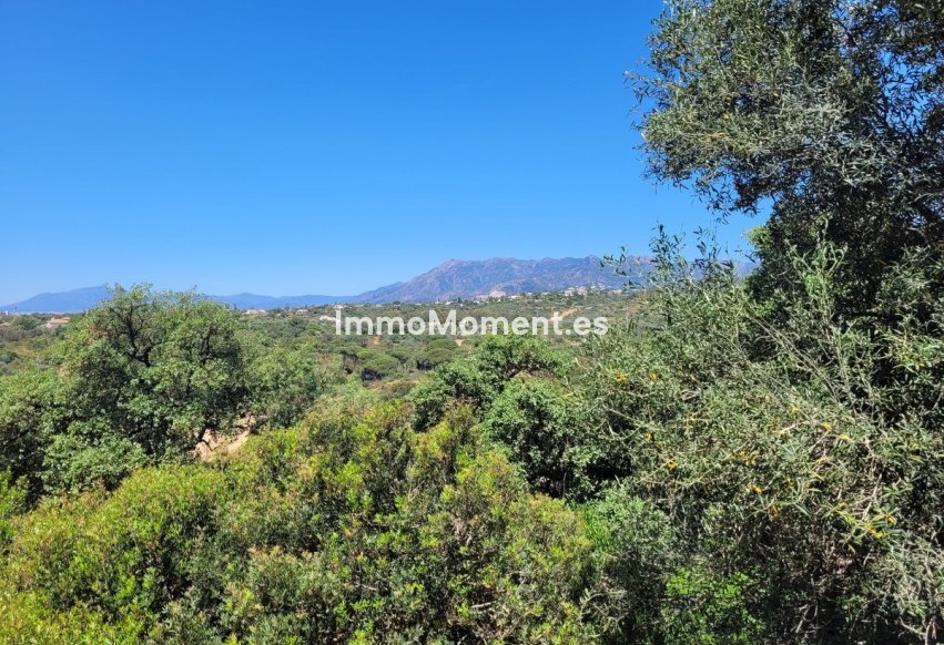 Revente - Parcelle - Marbella - Elviria