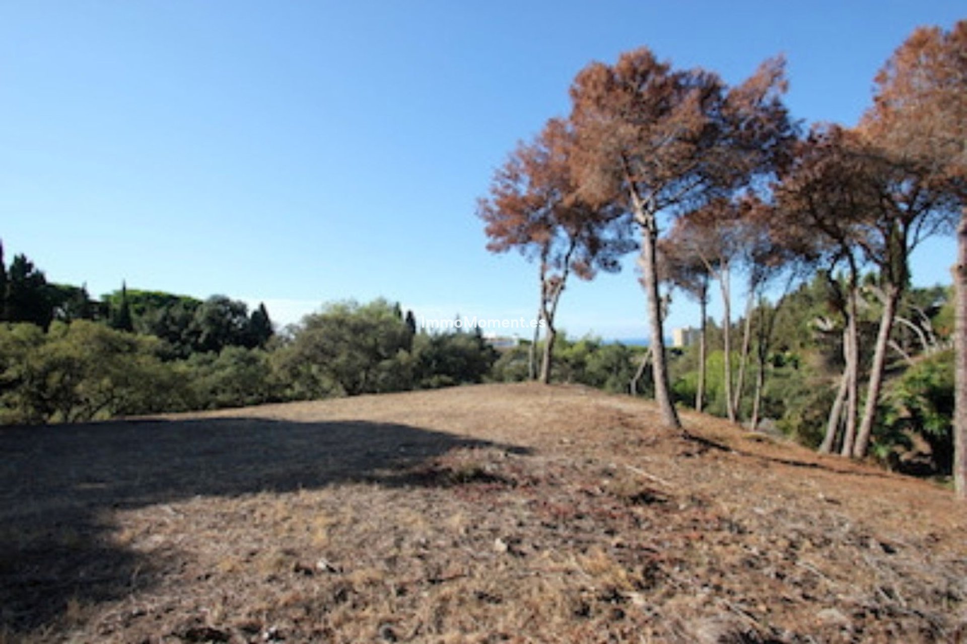 Revente - Parcelle - Marbella - Hacienda Las Chapas