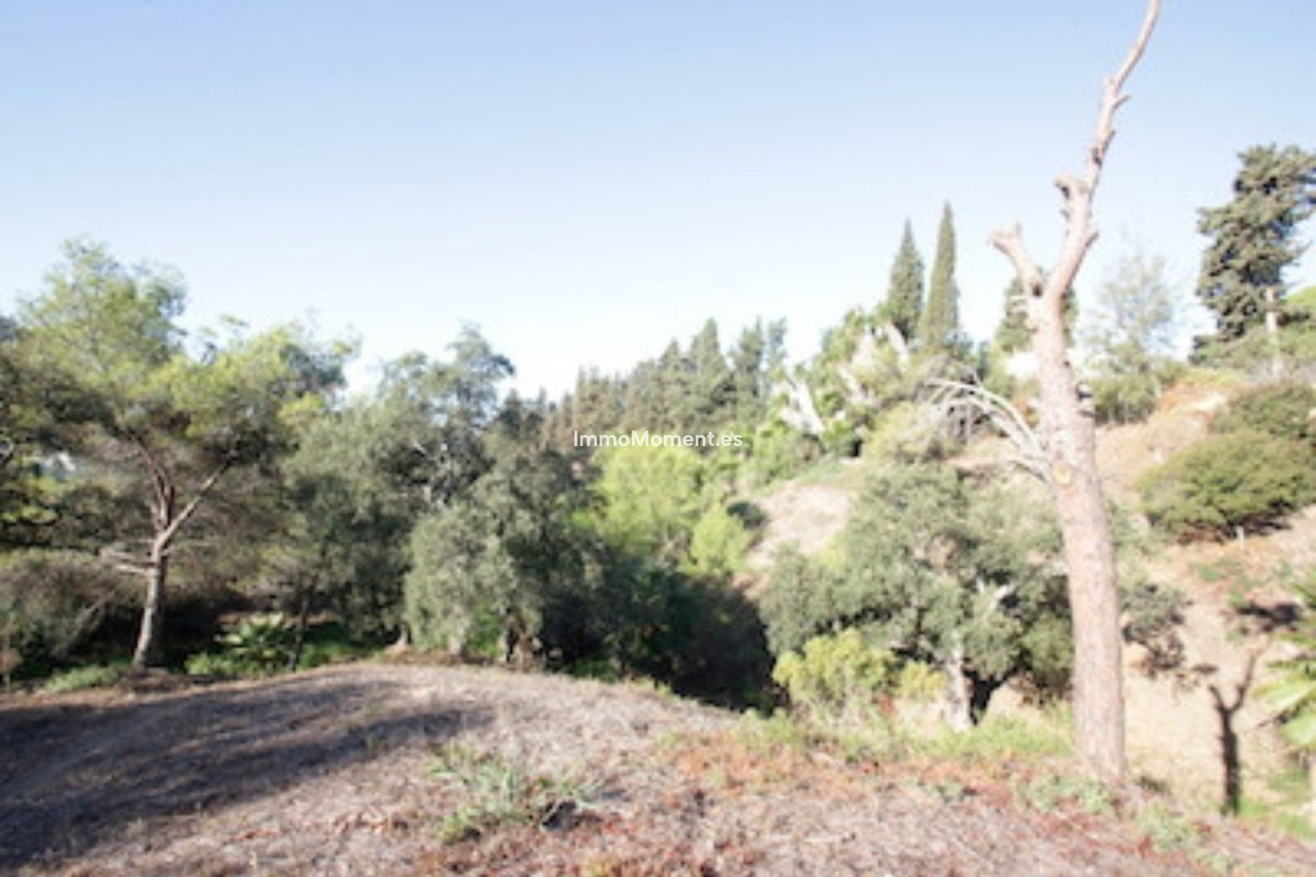 Revente - Parcelle - Marbella - Hacienda Las Chapas