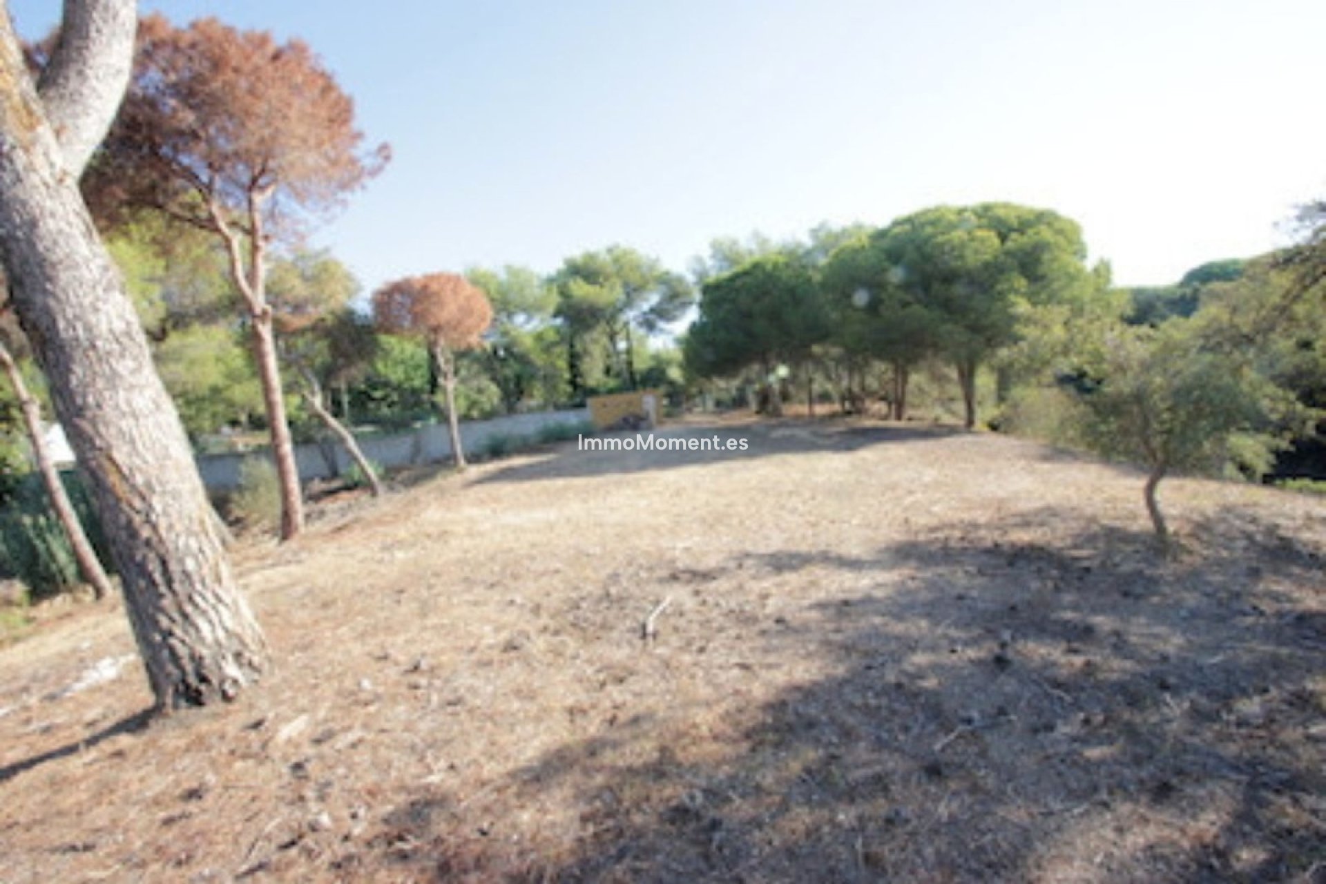 Revente - Parcelle - Marbella - Hacienda Las Chapas